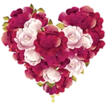 Logo of Flowers Stickers for WhatsApp android Application 